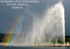 Annual Meeting of the Swiss Society for Crystallography : “Crystallography meets Physics”